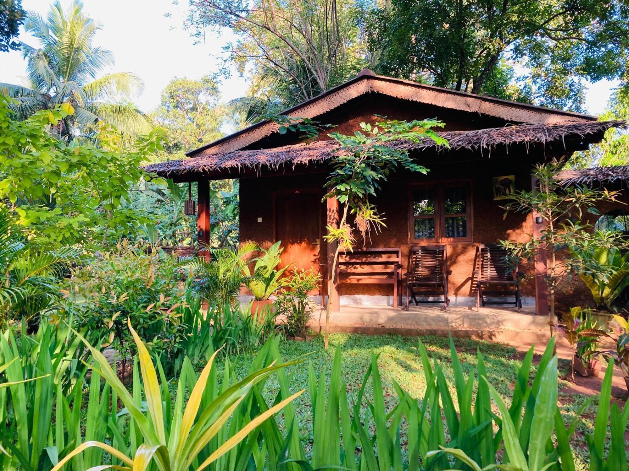Green Paradise Cottage Udawalawa Udawalawe Exterior foto