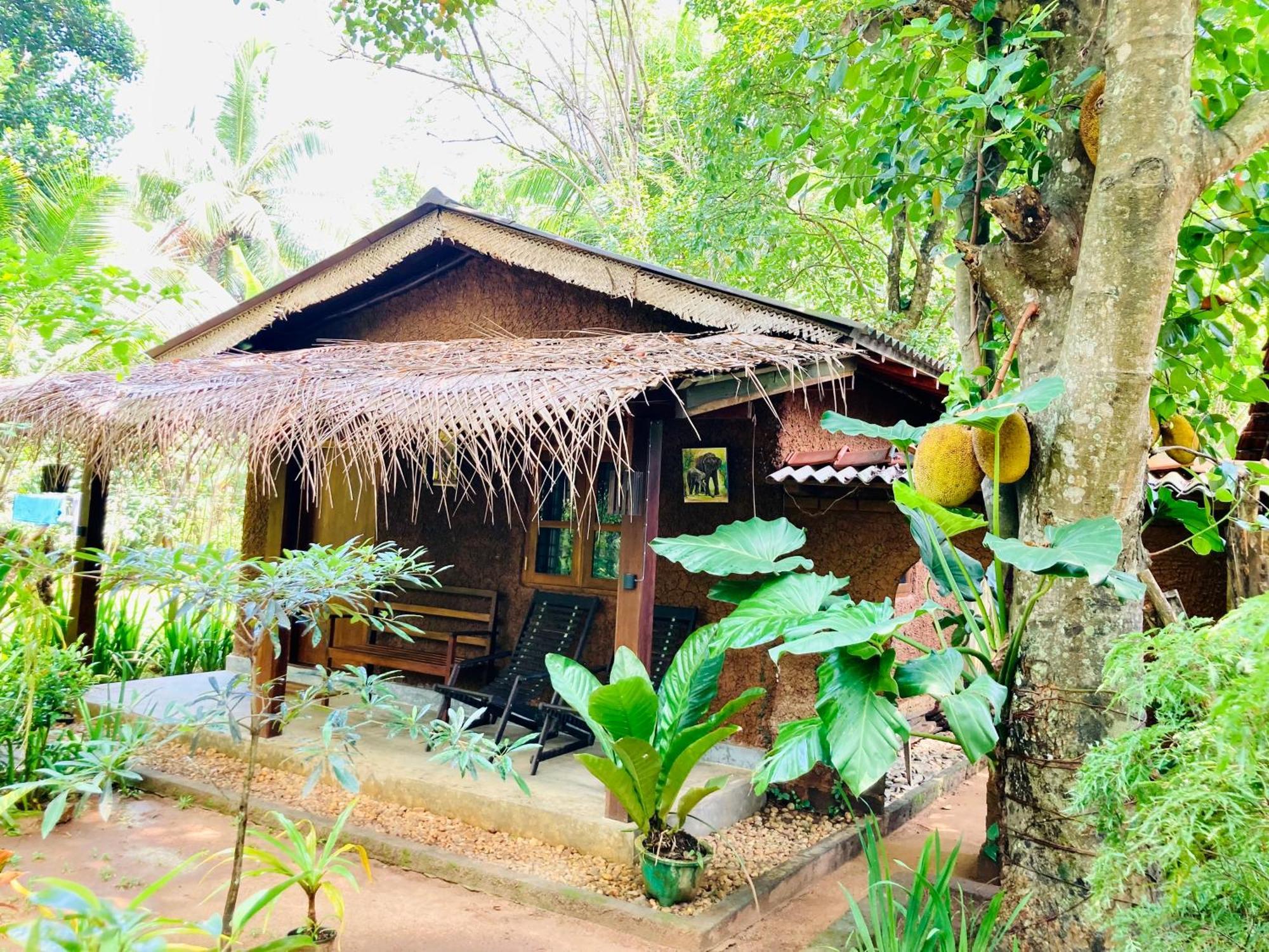 Green Paradise Cottage Udawalawa Udawalawe Exterior foto